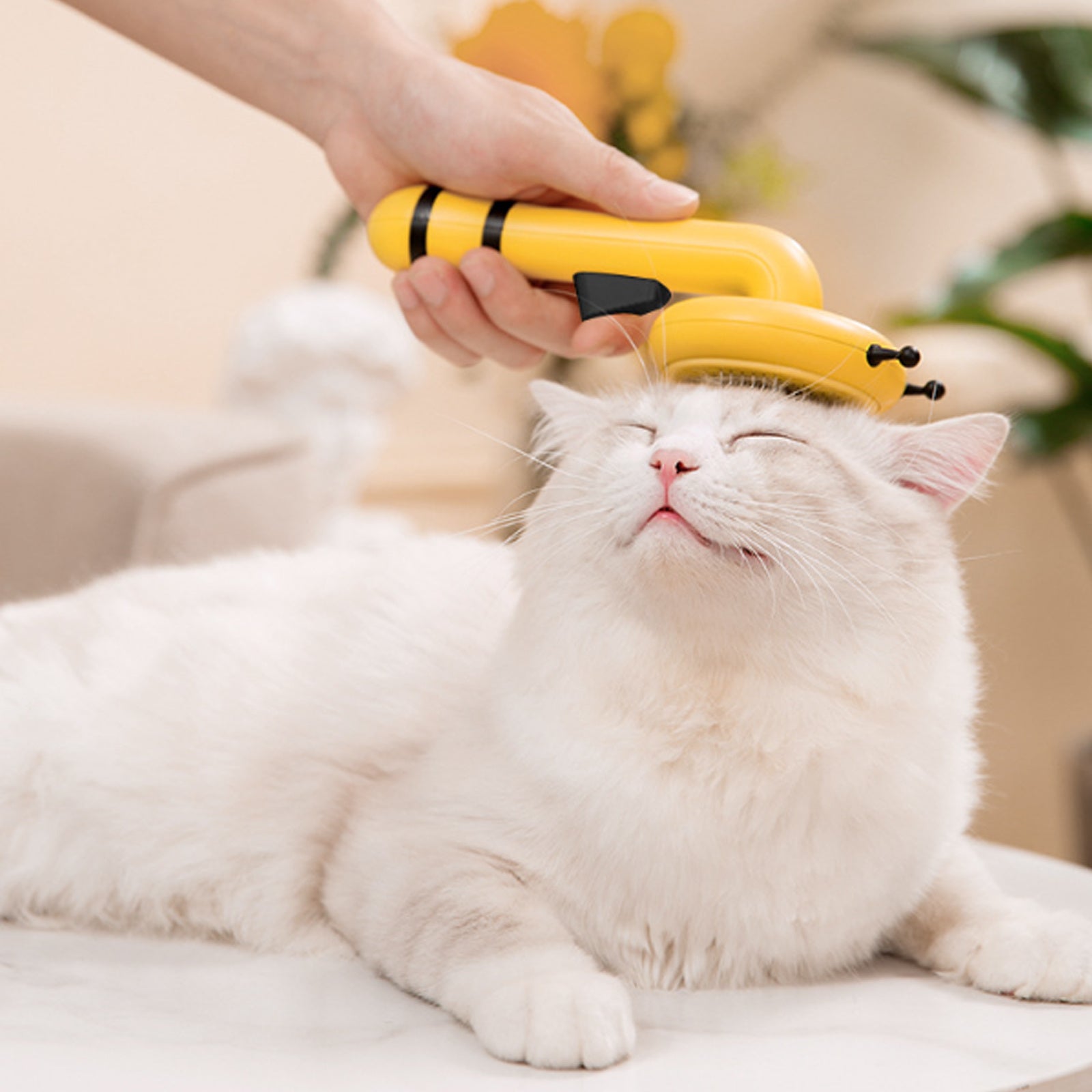 Little Bee Pet Needle Comb Cat