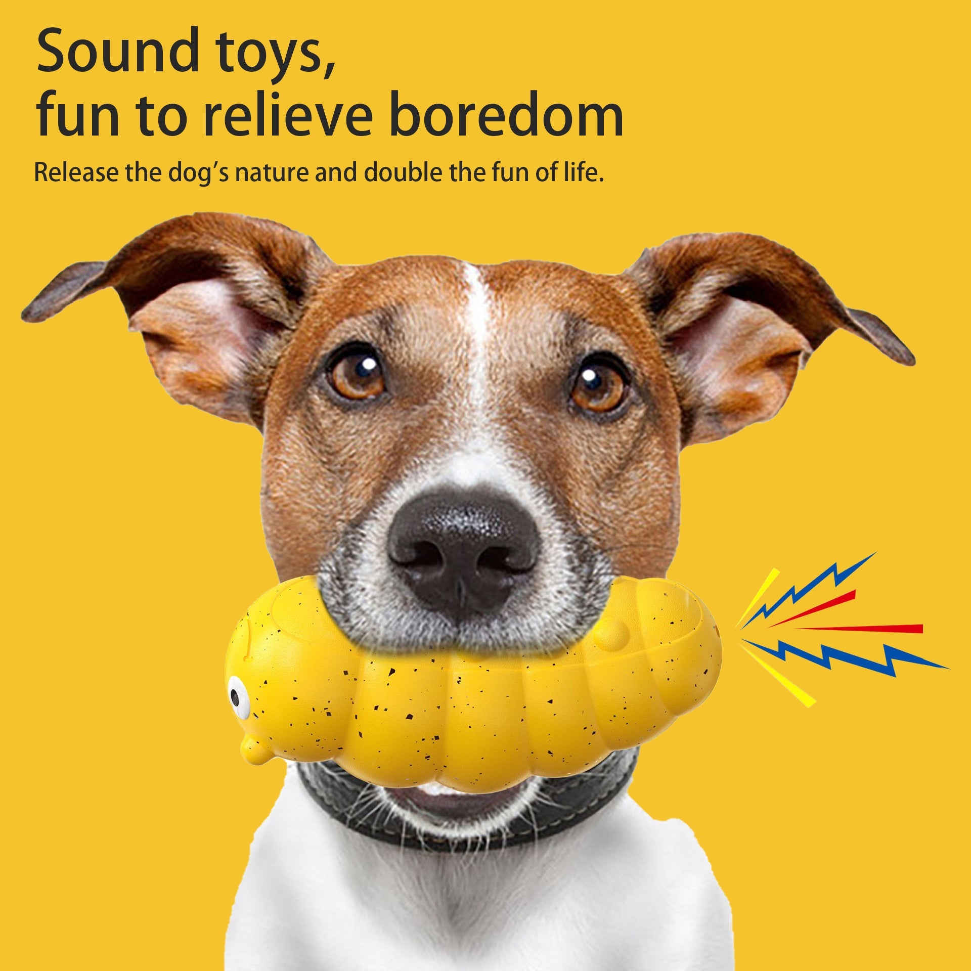 New Teething Dog With A Weird Barking Bug Pet Toys
