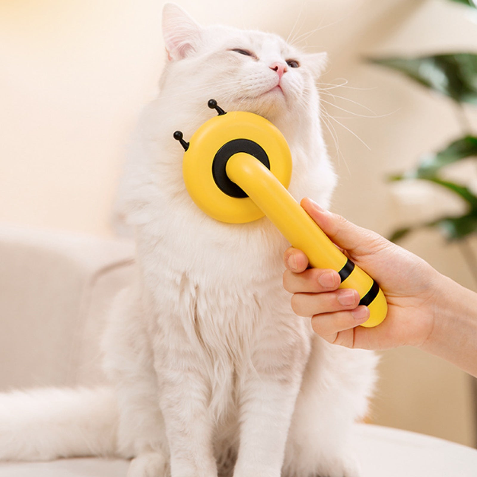 Little Bee Pet Needle Comb Cat