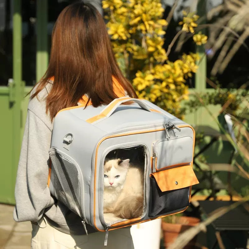 Large Capacity pet Backpack